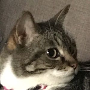 Meet your Posher, Linda